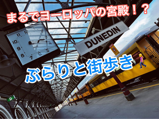 クラシックとカフェの街、ダニーデンをのんびり散策☕ クラシックとカフェの街、ダニーデンをのんびり散策☕