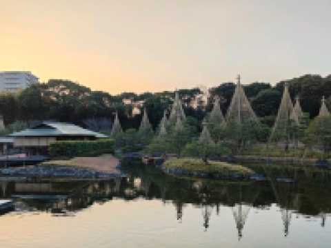 【日本 | 名古屋】意外的日式幽徑:名古屋白鳥庭園,倉促卻寧靜的城市綠洲