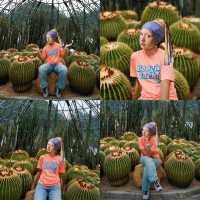 🌴🌺國家4A級旅遊景區推介🌻🪻