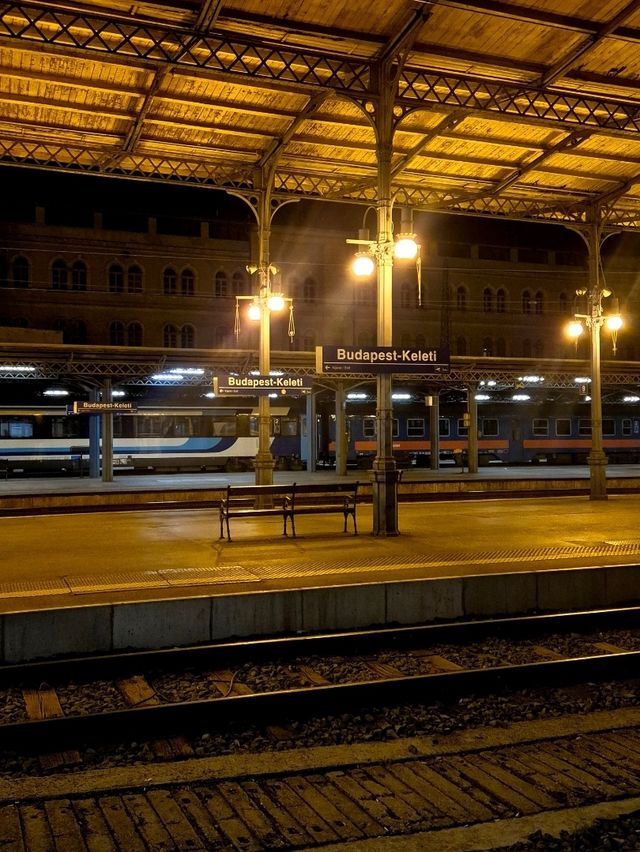 헝가리 부다페스트 여행 : parliament viewpoint 🇭🇺