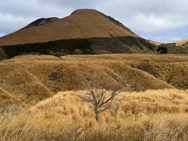 🍂秋日阿蘇山:米塚的金色光影、草千里的高原風、火山的震撼能量 🍂秋日阿蘇山:米塚的金色光影、草千里的高原風、火山的震撼能量