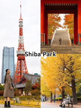 shiba park autumn 🍁🍂