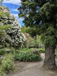 11月紐西蘭超Chill景點🌸 但尼丁植物園深度遊