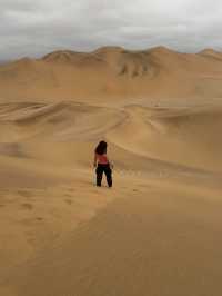 【世界最古の砂漠】ナミブ砂漠🇳🇦