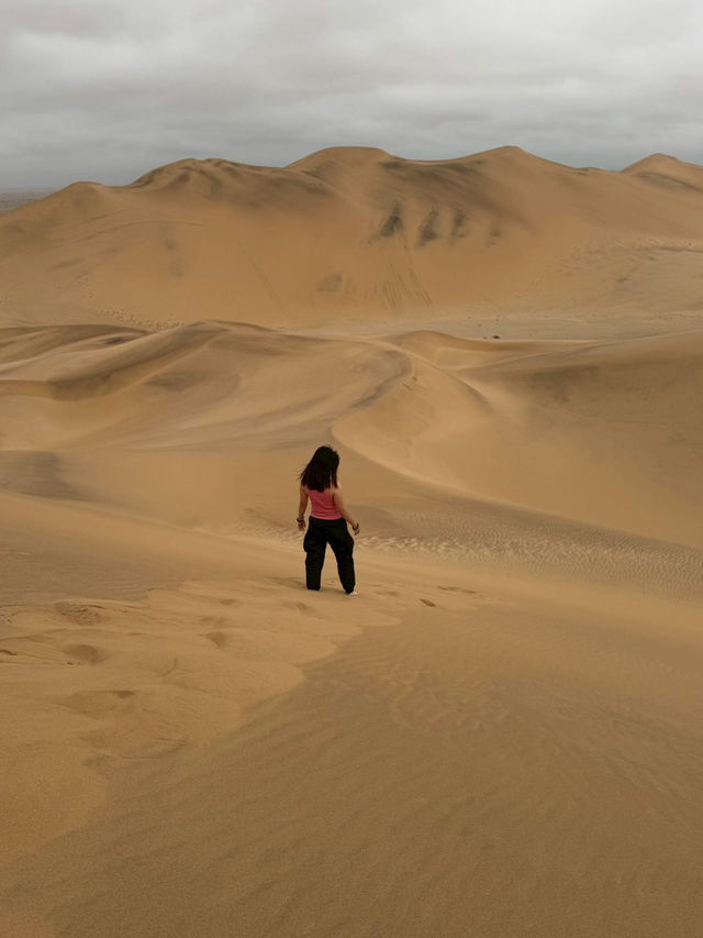 【世界最古の砂漠】ナミブ砂漠🇳🇦