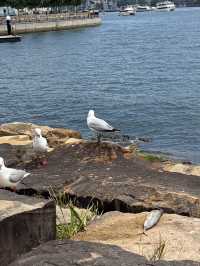 天然湖泊靜謐之美賞心樂事