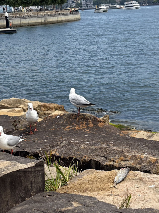 天然湖泊靜謐之美賞心樂事 天然湖泊靜謐之美賞心樂事