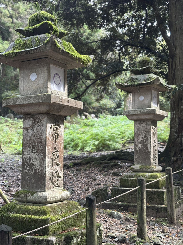 🦌 春日大社：燈塔與鹿共舞的神聖之地