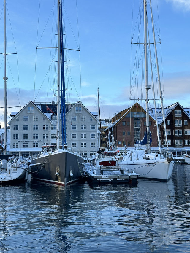 📸 特羅姆瑟港口：早晨的北極柔光太迷人