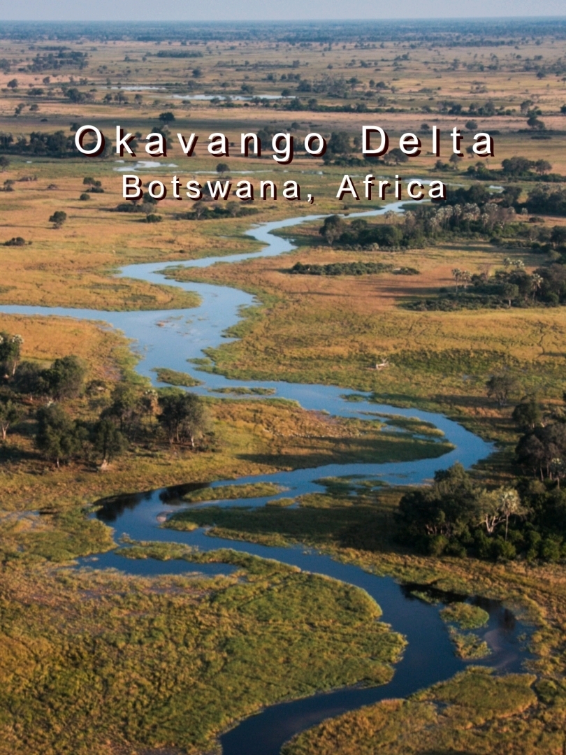 #ชวนคุยเรื่องเที่ยว
สามเหลี่ยมปากแม่น้ำโอคาวังโก (Okavango Delta – Botswana, Africa) 
📍 พิกัด: 19°17′S, 23°07′E
🌊 สามเหลี่ยมปากแม่น้ำโอคาวังโก (Okavango Delta – Botswana) มรดกโลก UNESCO ที่มีระบบนิเวศน้ำท่วมกลางทะเลทราย 
🦓 เขตอนุรักษ์สัตว์ Moremi (Moremi Game Reserve – Okavango) จุดชมสัตว์ป่าแอฟริกา เช่น ช้าง ม้าลาย และสิงโต 
🚤 การล่องเรือ Mokoro (Mokoro Canoe Ride – Okavango) สัมผัสธรรมชาติใกล้ชิดผ่านเรือไม้พื้นเมือง 
📸 จุดถ่ายภาพน้ำท่วม (Floodplain View – Okavango) เปิดมุมมองทุ่งน้ำกว้างใหญ่และนกน้ำหลากชนิด 
🌌 บรรยากาศยามค่ำคืน (Night Sky – Okavango) ดาวเต็มฟ้าเหนือสามเหลี่ยมปากแม่น้ำสุดโรแมนติก 
🦒 เขตดูสัตว์ป่า (Wildlife Safari – Okavango) พบยีราฟ ฮิปโป และนกหายากในธรรมชาติ 
🌿 พืชพรรณเฉพาะถิ่น (Unique Flora – Okavango) เช่น ต้นกกและดอกไม้ป่าที่เติบโตในพื้นที่ชุ่มน้ำ 
🎶 วัฒนธรรมชนเผ่าท้องถิ่น (Local Tribes Culture – Okavango) เรียนรู้วิถีชีวิตและการต้อนรับแบบอบอุ่น 
🏞️ เกาะ Chief’s Island (Chief’s Island – Okavango) จุดชมสัตว์ป่าและวิวธรรมชาติที่งดงาม 
🛶 กิจกรรมตกปลา (Fishing – Okavango Delta) สัมผัสวิถีชีวิตริมแม่น้ำและความสงบ 
🛍️ ตลาดท้องถิ่น Maun (Maun Local Market – Botswana) เมืองประตูสู่โอคาวังโก จำหน่ายงานหัตถกรรม 
🎁 ถ้าใครอยากสัมผัสทั้งธรรมชาติ สัตว์ป่า และวัฒนธรรมแอฟริกา โอคาวังโกคือจุดหมายที่ต้องมา! ไปด้วยกันนะ
📌 Hashtags:
#OkavangoDelta #BotswanaTravel #TripcomFeatured #UnseenAfrica #SafariAdventure #เที่ยวบอตสวานา #สายธรรมชาติต้องมา #OkavangoExperience
