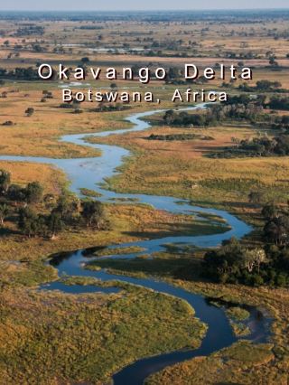 #旅について語りましょう
オカバンゴ・デルタ（ボツワナ、アフリカ）
📍 座標：南緯19度17分、東経23度07分
🌊 ユネスコ世界遺産に登録されているオカバンゴ・デルタ（ボツワナ）は、砂漠の真ん中に広がるユニークな氾濫原の生態系が特徴です。
🦓 モレミ動物保護区（オカバンゴ） – ゾウ、シマウマ、ライオンなど、アフリカの野生動物を観察できるスポットです。
🚤 モコロ・カヌー・ライド（オカバンゴ） – 伝統的な木造ボートで自然を間近に体験できます。
📸 氾濫原の眺め（オカバンゴ） – 広大な氾濫原と様々な水鳥の素晴らしい景色を堪能できます。
🌌 夜空（オカバンゴ） – デルタに広がるロマンチックな星空。
🦒 野生動物サファリ（オカバンゴ） – キリン、カバ、希少な鳥などを自然の生息地で観察できます。
🌿 固有植物（オカバンゴの固有植物）湿地帯に生える葦や野生の花など。
🎶 地元の部族文化 – オカバンゴ：彼らの生活様式と温かいおもてなしについて学びましょう。
🏞️ チーフズ島（オカバンゴ）：息を呑むような自然の景色を楽しめる野生動物観察スポット。
🛶 釣り（オカバンゴ・デルタ）：川辺での生活と静けさを体験できます。
🛍️ マウン・ローカル・マーケット（ボツワナ）：オカバンゴへの玄関口で、手工芸品を販売しています。
🎁 自然、野生動物、そしてアフリカ文化を体験したいなら、オカバンゴは必見の場所です！一緒に行きましょう！
📌 ハッシュタグ:
#オカバンゴデルタ #ボツワナ旅行 #TripcomFeatured #未知なるアフリカ #サファリアドベンチャー #ボツワナ旅行 #自然愛好家必見 #オカバンゴ体験
