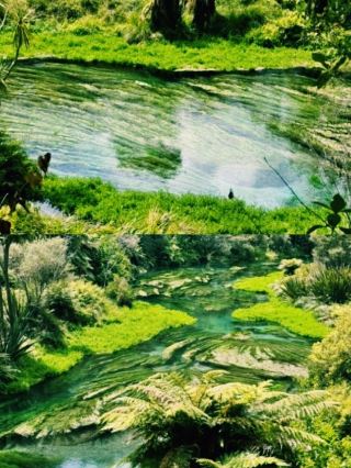 New Zealand Blue Spring | A place that shows how deep the color blue can be.