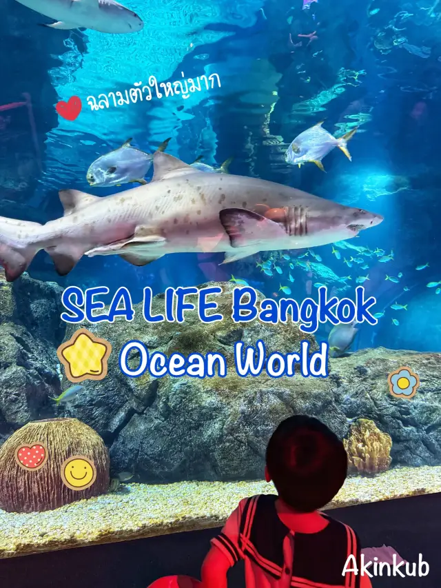ไปเดินดูปลาฉลามที่สยามพารากอนกัน