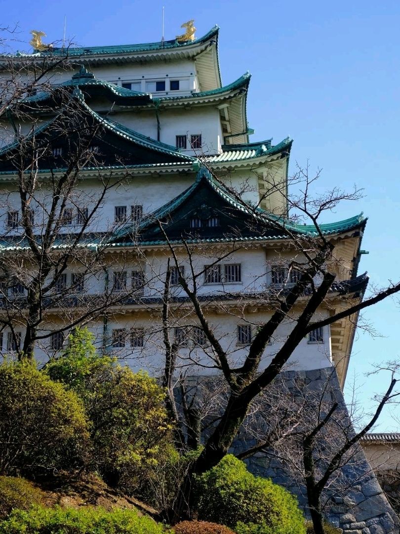 名古屋城：日本初の国宝登録城 | Trip.com 名古屋