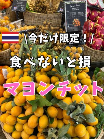 タイ】今だけ限定！マヨンチットが食べられるところ！ | Trip.com バンコク