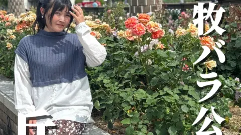 一面に咲くバラと飛行機が楽しめる開放感たっぷりの無料スポット❤️ — traveler post in 伊丹