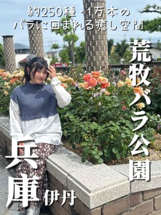一面に咲くバラと飛行機が楽しめる開放感たっぷりの無料スポット❤️