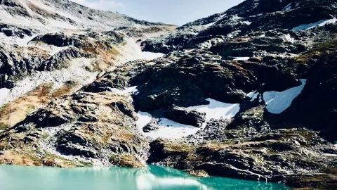 Bolivia Tarija Samaipata Amboró Park Mossy Petrified Foresteasytravelpost #Samaipata #Amboro #FernF — traveler post in Sinaloa