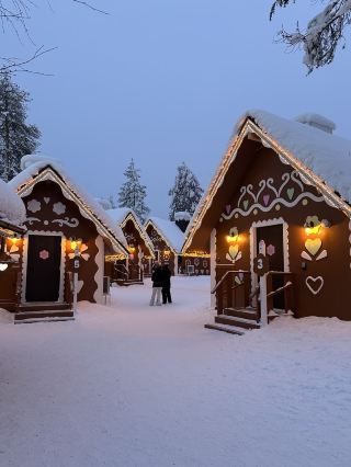 Winter Magic in Rovaniemi: Visiting Santa Claus and Reindeer Sleigh Rides