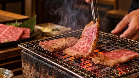 일본 다카야마 🇯🇵 — traveler post in 교토