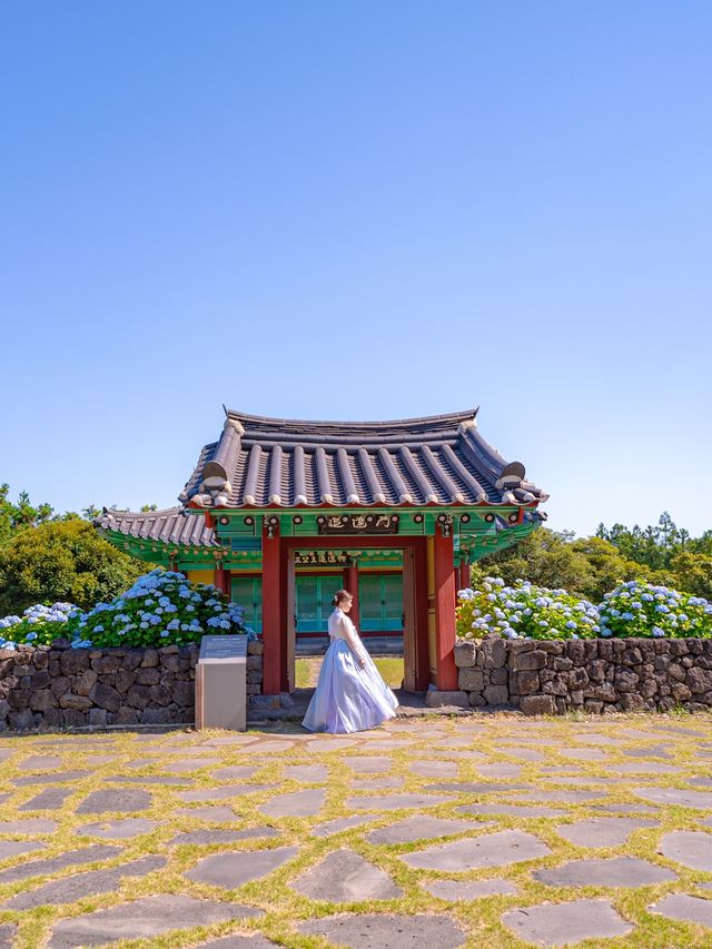 서귀포 파란 수국 명소 ‘혼인지’