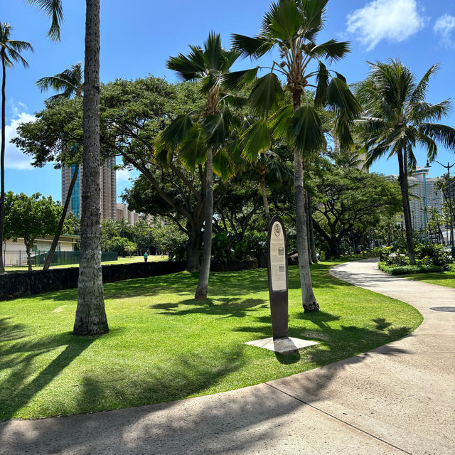 Exploring Waikiki 🌺 