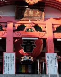 Magnificent site in center of Nagoya