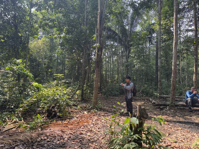 馬瑙斯亞馬遜叢林3天2晚探險旅遊攻略 🏕️