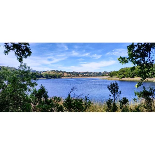 San Francisco has some beautiful nature around it!