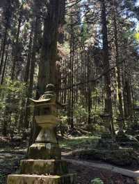 14-Day Kyushu island 