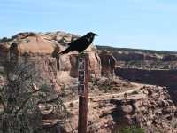 Canyonland National Park itinerary