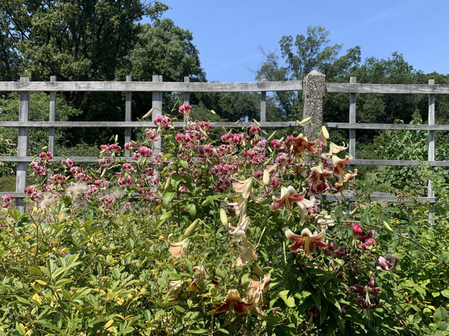 布魯克林植物園