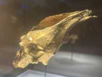 Discovering the Gold Museum (Museo del Oro)