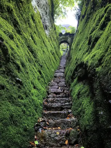 Wuyishan Spiritual Diary: A Stream of Clear Water Reflecting Mountain Light!