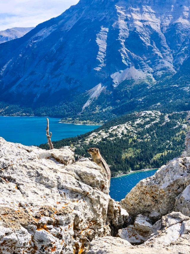 Unbeatable view in Canada🇨🇦