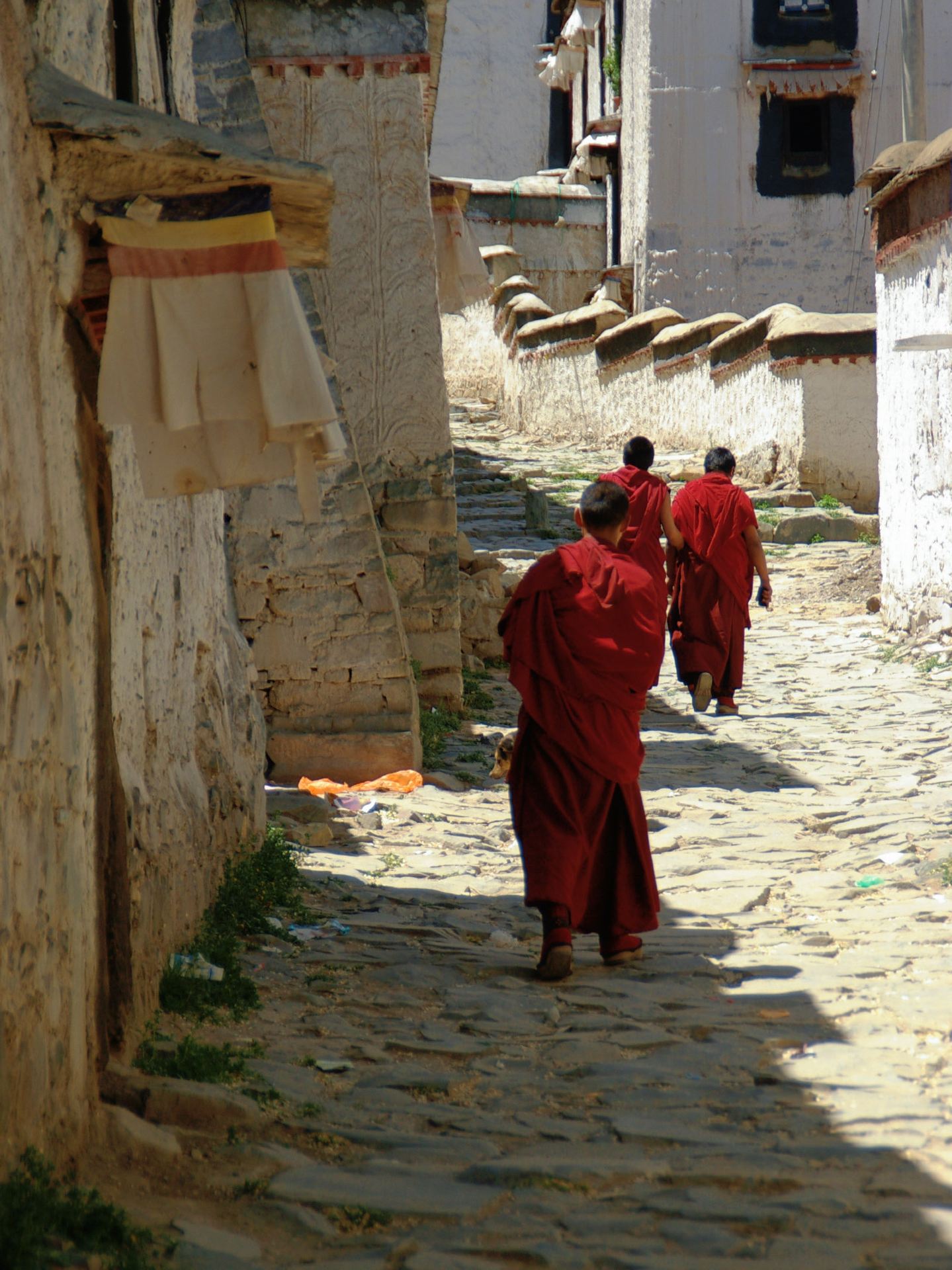 Looking up at the Maitreya Buddha in Tsang, one encounters solemnity and compassion.