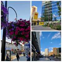 Croydon Unveiled: Hidden Gems in London's Heart ❤️🏙️