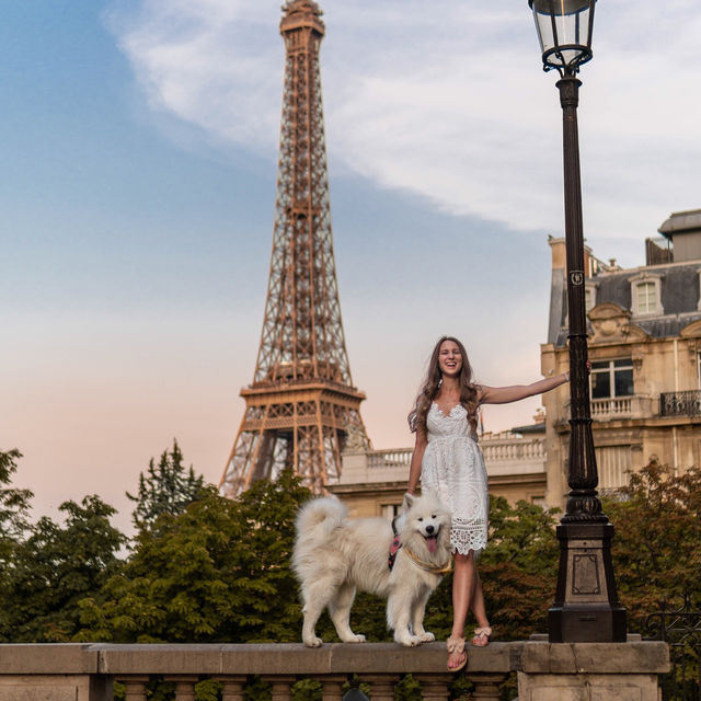 The best viewpoints to see the Eiffel Tower