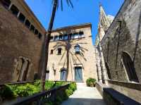 The Gothic Quarter of Barcelona 