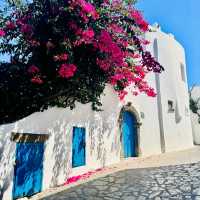 The Beautiful and Smallest of the Aeolian Islands "Panarea"
