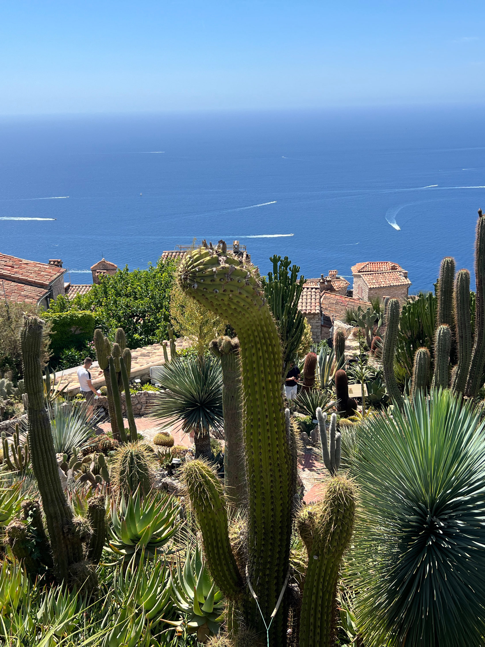 Le Jardin Exotique in ze, South France. | Trip.com Eze