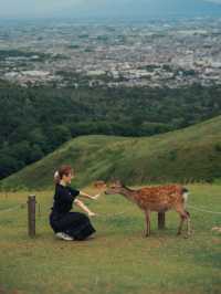 Nara Japan 🇯🇵 