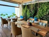 รีสอร์ตริมชายหาดเฉวง บรรยากาศร่มรื่น