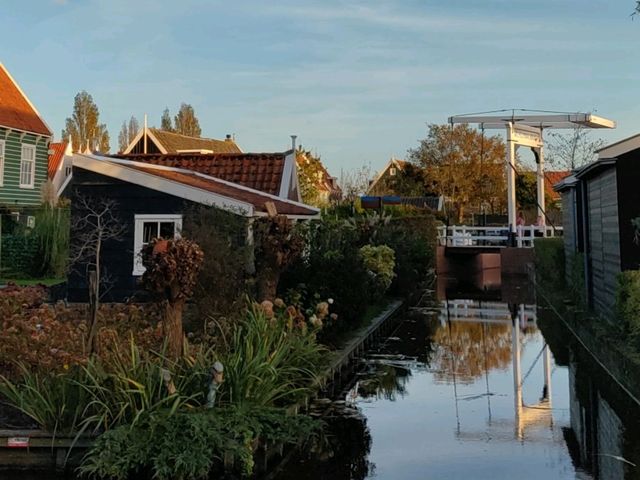 Edam Exposed: 3 Fun Facts That Will Make You Want to Visit!