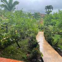A rainforest retreat 