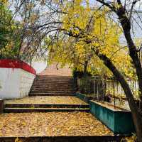🍂 Travel to Sulaymaniyah, Iraq in Autumn 🍂
