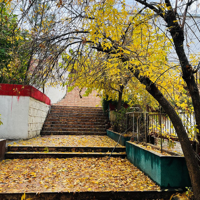 🍂 Travel to Sulaymaniyah, Iraq in Autumn 🍂