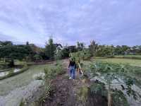 Tiara Homestay: local or too local! 