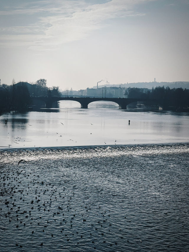 Charles Bridge Prague