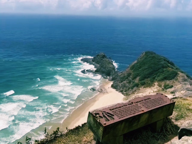 Cape Reinga Lighthouse Road Trip: The Ultimate Northern Adventure